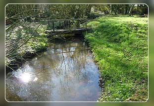 Ferienh�user in der Bretagne Bild 03