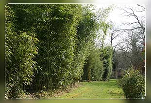 Ferienhaus Bretagne in Plouaret - Ferienh�user in der Bretagne Bild 10