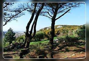 Ferienhaus Bretagne in Tr�beurden mit Hund  - Ferienh�user in der Bretagne Bild 02