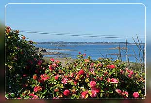 Ferienhaus Bretagne in Pleubian - Ferienh�user in der Bretagne Bild 01