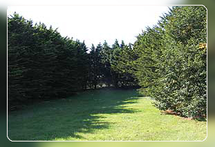 Ferienhaus Bretagne mit Hund in Tréflez - Finiistère Bild 01 Ferienhaus Bretagne mit Hund in Tréflez - Finiistère Bild 01