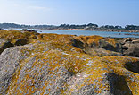 Landschaft C�tes d'Armor - Urlaub im  Ferienhaus Bretagne Cotes d�Armor  Ferienh�user in der Bretagne mit dem Bretagne-Spezialist Vacances Parveau GmbH Bild 12