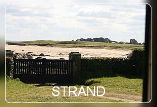 Ferienhaus Bretagne Finist�re in Brignogan Plages mit Meerblick - Bild 03