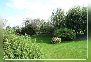 Ferienh�user Bretagne Ferienhaus in Penvenan - Ferienh�user in der Bretagne Bild 07