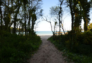 Weg zum Strand, Plage-Château Serein., Ferienhaus in Plévenon Fréhel Weg zum Strand, Plage-Château Serein., Ferienhaus in Plévenon Fréhel