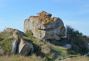 Ferienhaus Bretagne in Cléder mit Hund 