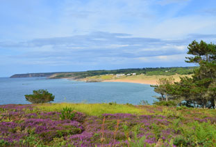 Ferienhäuser Bretagne Ferienhaus in Plévenon Fréhel mit Hund Bild 19