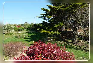 Ferienhaus in Trébeurden mit Hund erlaubt - Ferienhäuser in der Bretagne 