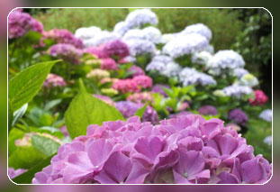 Ferienhaus mit Meerblick in Pleumeur-Bodou - Cotes d´Armor