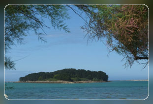 Ferienhaus mit Meerblick in Pleumeur-Bodou - Cotes d´Armor-