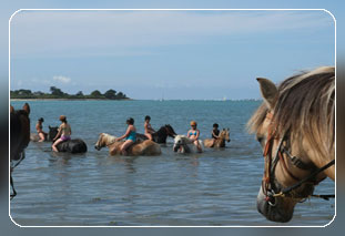 Ferienhaus mit Meerblick in Pleumeur-Bodou - Cotes d´Armor