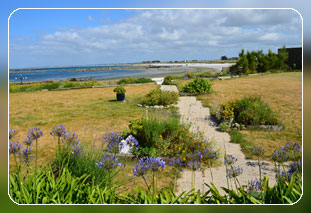 Ferienh�user Bretagne Ferienhaus in Brignogan-Plages mit Hund- Bild 15
