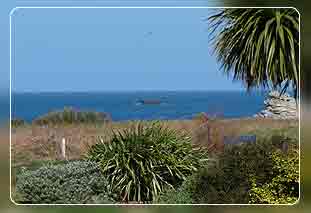 Ferienhäuser Bretagne Ferienhaus in Plouguerneau  Bild 03