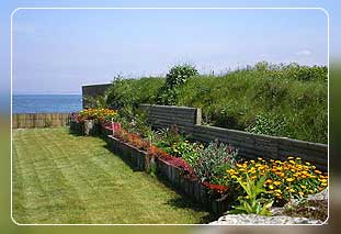 Ferienh�user Bretagne Ferienhaus in Brignogan-Plages mit Hund- Bild 16