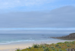 Ferienhaus Bretagne in Cléder mit Hund 