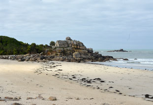 Ferienhaus Bretagne in Cléder mit Hund 