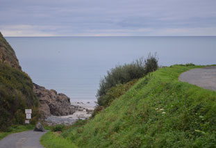 Weg zum Meer, Ferienhaus Bretagne in Plouézec - Cotes d´Armor-