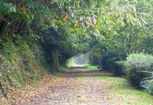 Urlaub in der Bretagne Ferienhaus Bretagne in Ploumilliau 
